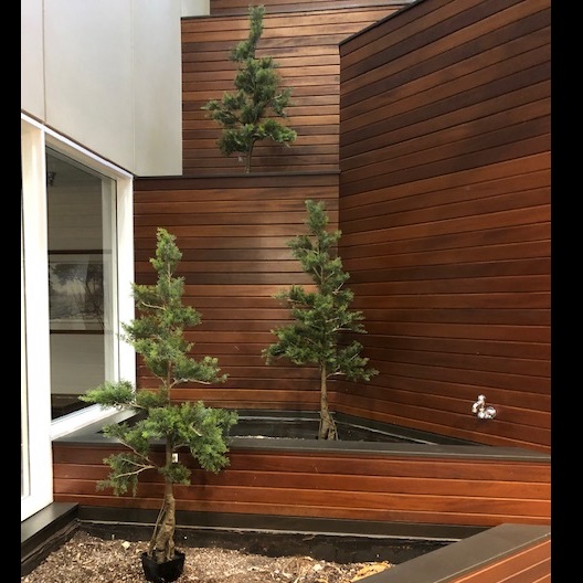 5' Potted Cedar Tree - Artificial Trees & Floor Plants - artificial cedar trees for rent 5 feet